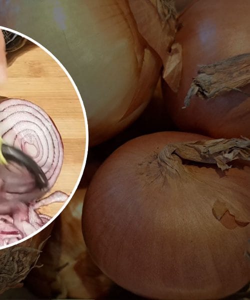 Skrijte čebulo v ta prostor in zdržala vam bo veliko časa