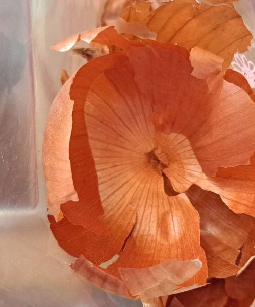 Presenečenje iz kuhinje: Kako s čebulnimi olupki obarvati najlepša velikonočna jajca