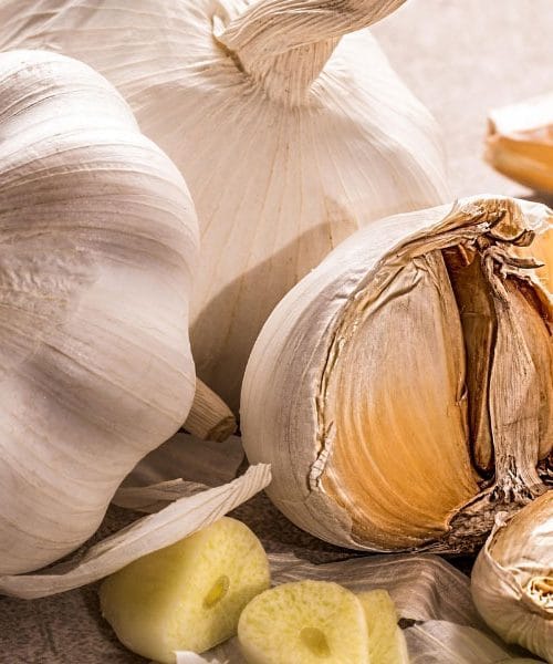 Jesenski čas za česen – zakaj ga ne smemo posaditi prezgodaj?