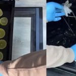 Čiščenje pečice z limono