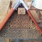 Domač hotel za žuželke