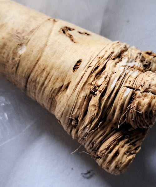 Zdravilne lastnosti hrena: zaklad iz domačega vrta, ki ga premalo cenimo