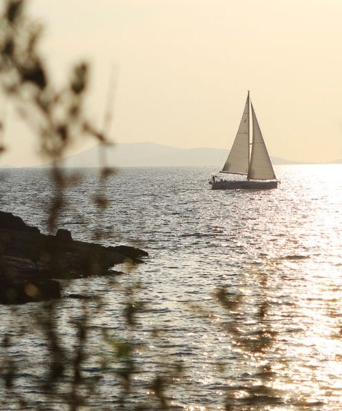 Jadranje namesto apartmaja: počitnice z vetrom v laseh in svobodo pod jadri