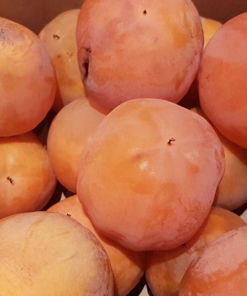 Kaki za uravnavanje prebave? To je jesenski sadež, ki dela čudeže