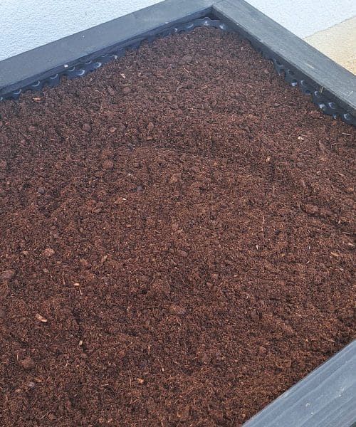 Tako napolnite visoko gredo do vrha, da bo zemlja rodila več let zapored