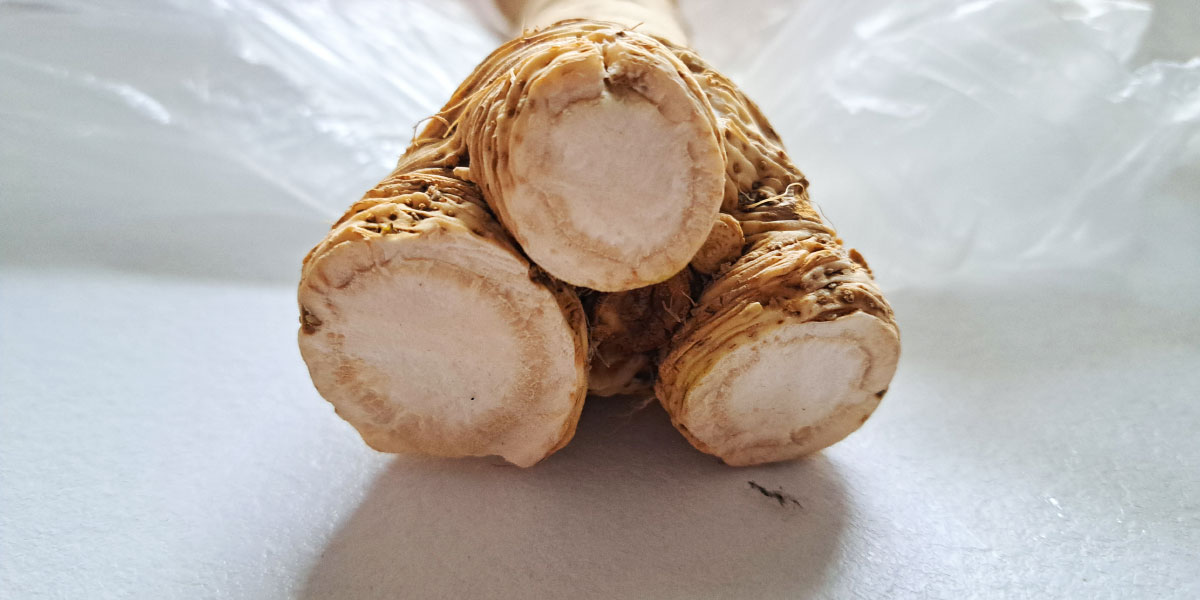 Kako prepoznati domač hren