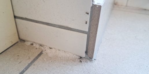 Mravlje v kuhinji in na terasi? Teh pet vonjev jim ni po volji, dom pa bo dišal prijetneje