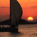 Najem jadrnice, Hrvaška