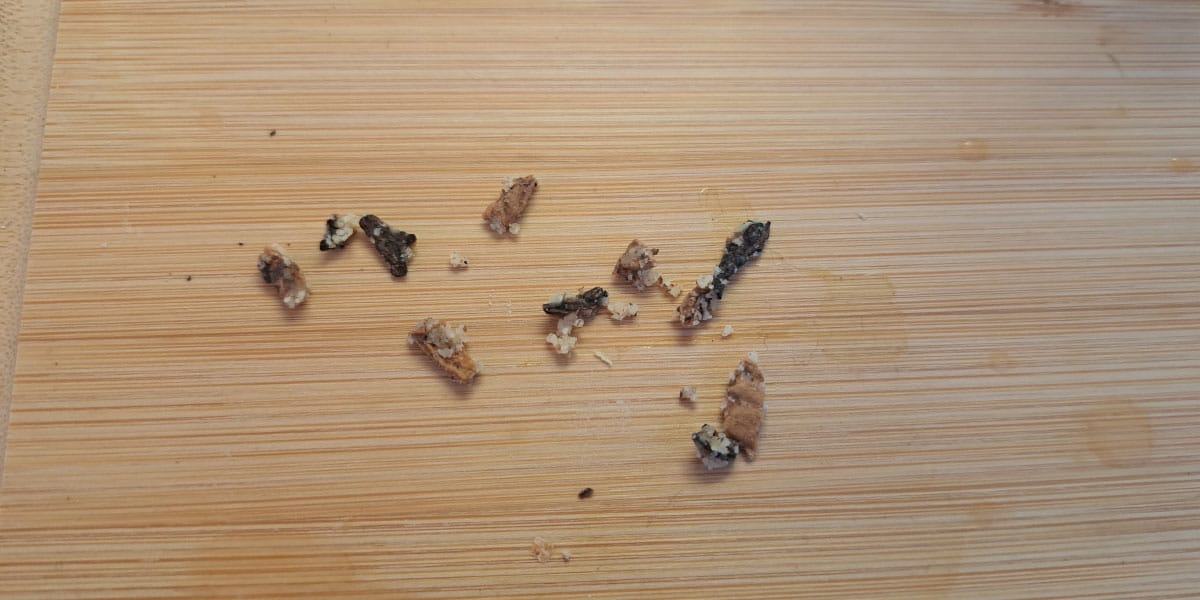 Ostanki orehovih jedrc