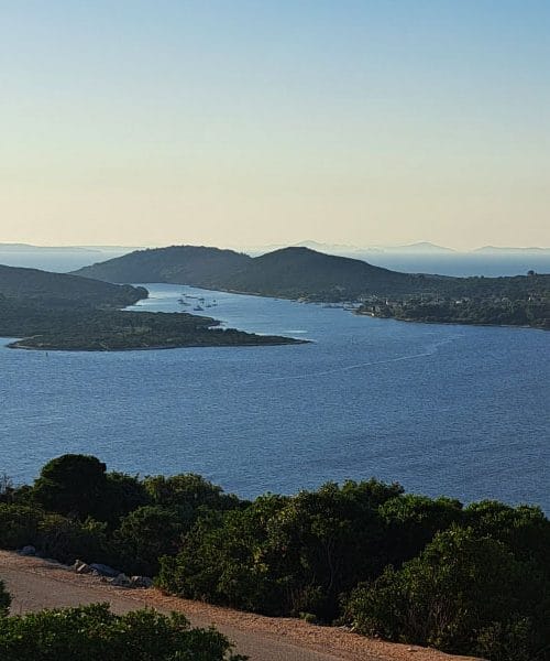 Ilovik: Otok cvetja, kjer zadiši po evkaliptusu in miru
