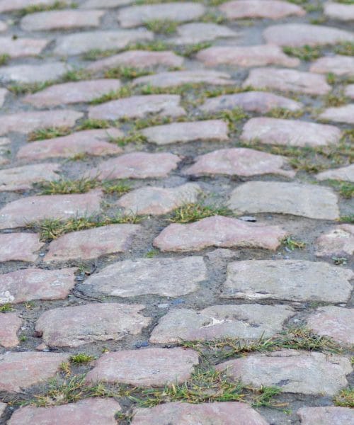 Paris Roubaix 2025 – peklenska klasika, ki odloča o mojstrih kolesarstva