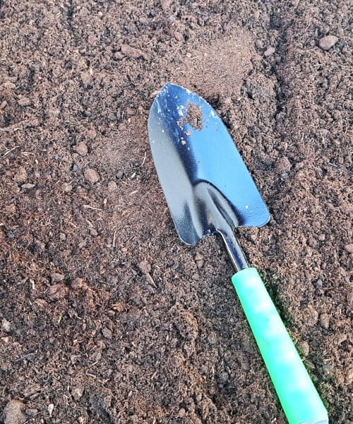 Teh rastlin aprila ne sadite na vrt, če nočete težav