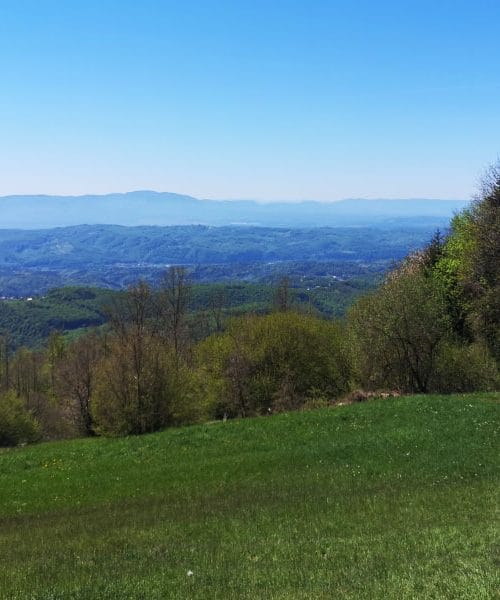 Bohor: prvomajska pohodniška ideja, kjer se narava razcveti