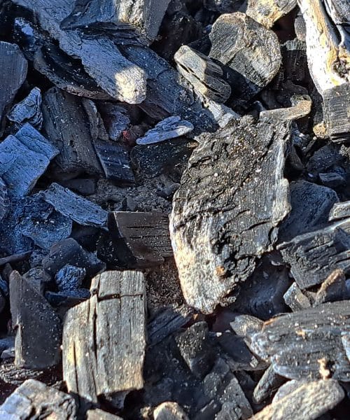 Vloga oglja na vrtu in v visoki gredi