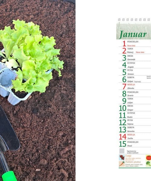 Setveni koledar: skrivnostni vodič, ki vrtnarjem spreminja letne čase