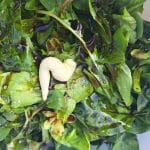 Solata z bučnim oljem in majonezo