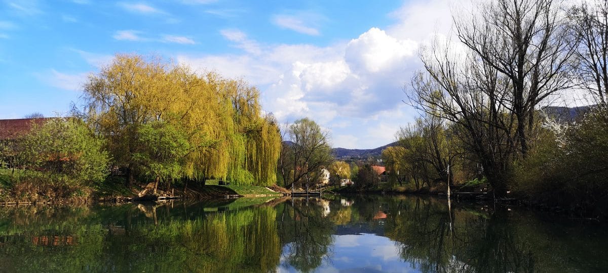 Kostanjevica na Krki za enodnevni izlet. Kje parkirati in kaj si ogledati?