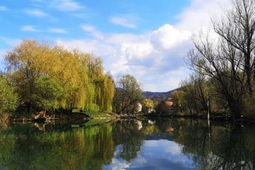 Kostanjevica na Krki za enodnevni izlet. Kje parkirati in kaj si ogledati?