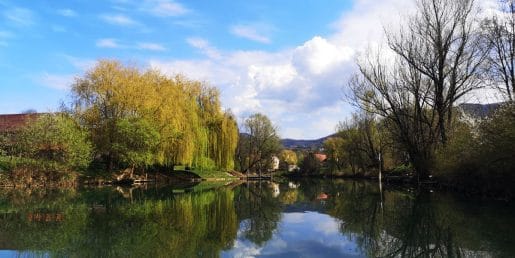 Kostanjevica na Krki za enodnevni izlet. Kje parkirati in kaj si ogledati?