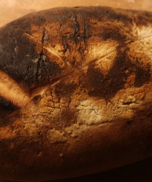 Ne dovolite, da vam testo uniči kruh – tukaj je rešitev