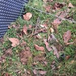 Trava, listje, visoka greda