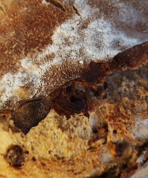 S tem velikonočnim kruhom boste očarali družino že pri zajtrku