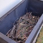 Visoka gred, prva plast lesa