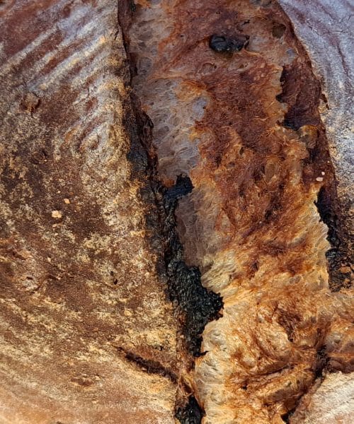 Kako shraniti kruh, da ostane svež cel teden