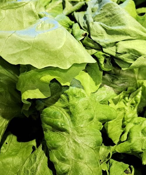 To živilo povzroča zadrževanje vode – pa ga vsak dan jeste v solati