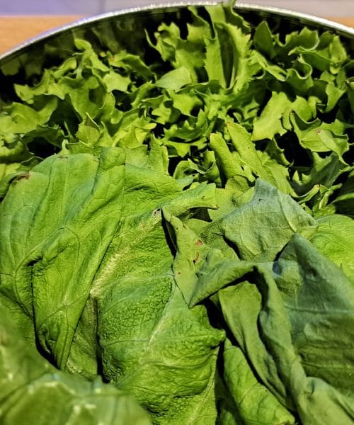 Kolikokrat je treba oprati solato z vrta, da je res varna za uživanje?