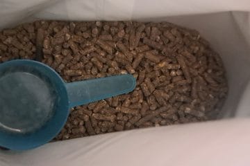 To dodajte zemlji in zelišča bodo rasla hitreje