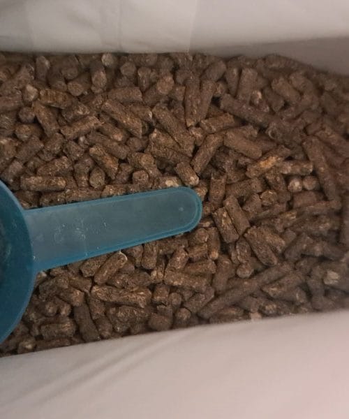 Kako in kdaj uporabiti aktivator komposta? To je skrivnost hitrega in kakovostnega razkroja