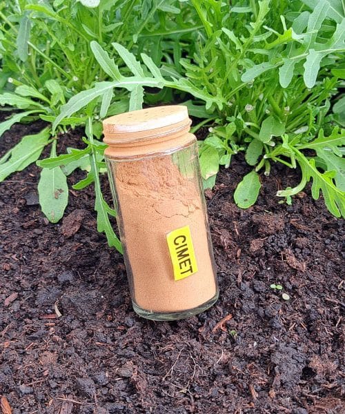 Če imate v kampu težave z mravljami, jih bo ta začimba pregnala v minuti