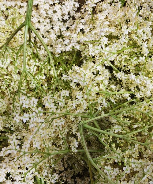 Najboljši recept za bezgov sirup, ki ga boste naredili letos