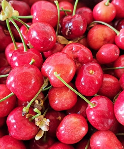 Češnje so občutljive, a z nekaj previdnosti lahko ostanejo sveže dlje časa