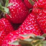 Domače jagode za marmelado