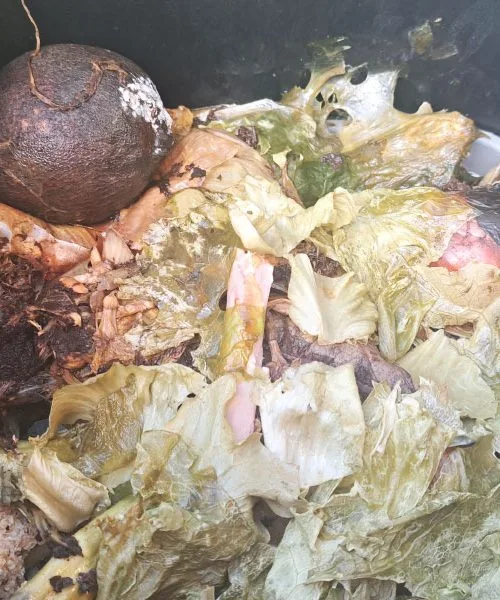 Stari recept za gnojilo iz kuhinjskih ostankov, ki deluje bolje kot kupljena gnojila