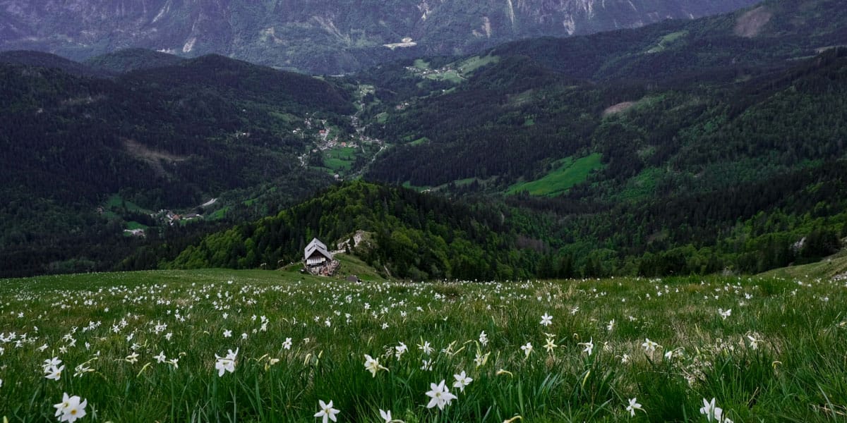 Na Golici, Foto: Pika Žvan