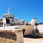 Na trajekt s kolesi ali psom