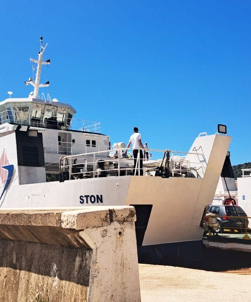 Na trajekt s kolesom in psom? To morate vedeti pred vkrcanjem