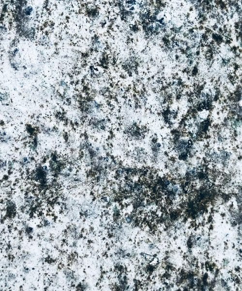 Preprosta mešanica, ki uniči plesen brez močnih kemikalij