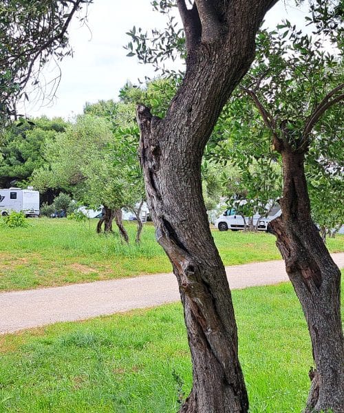 5 stvari, ki jih boste letos potrebovali na kampiranju – brez njih bo šlo težje