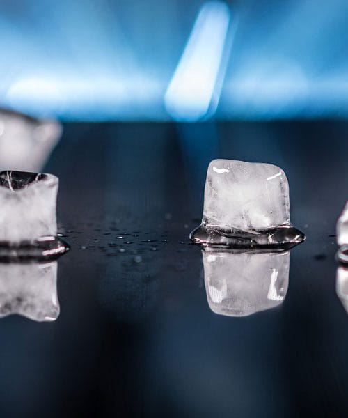 Zakaj strokovnjaki odsvetujejo zalivanje lončnic z ledenimi kockami