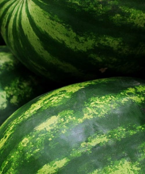 Hrana, ki poleti poskrbi za tvojo kožo: teh deset živil ima moč vode, a nudi še več