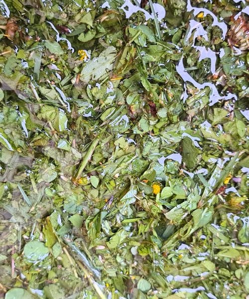 Te vsakdanje stvari uporabite na vrtu. In rastline vam bodo hvaležne