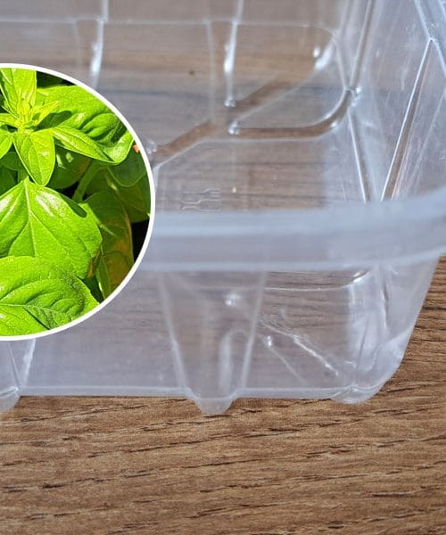 Ne zavrzite plastične embalaže: Odkritje, kako lahko pomaga na vrtu