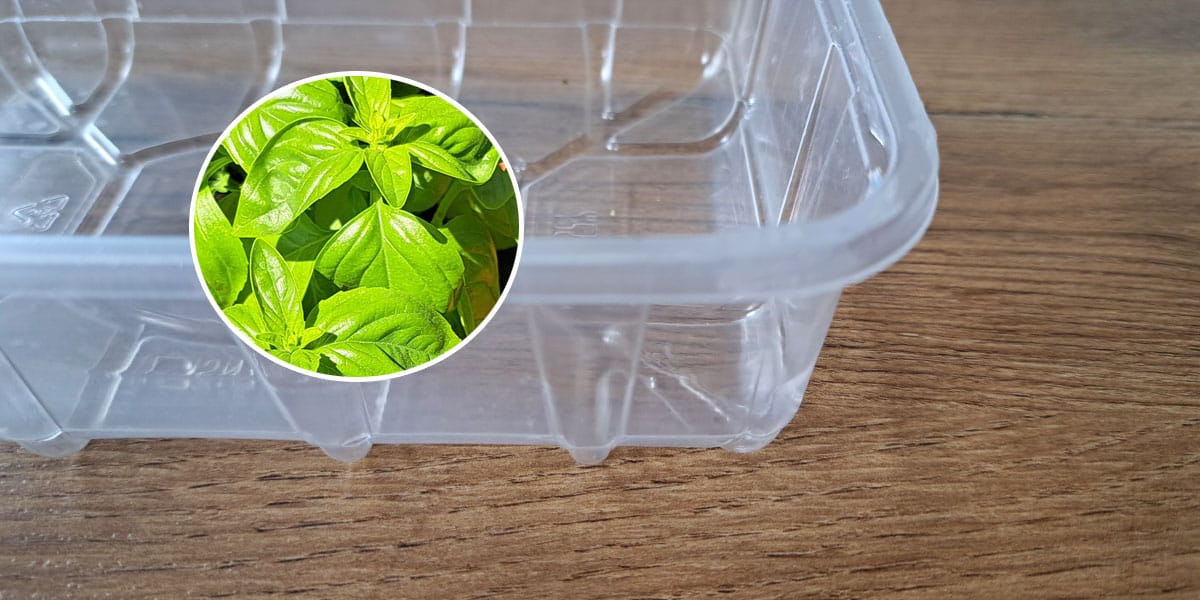 Plastične posode, bazilika