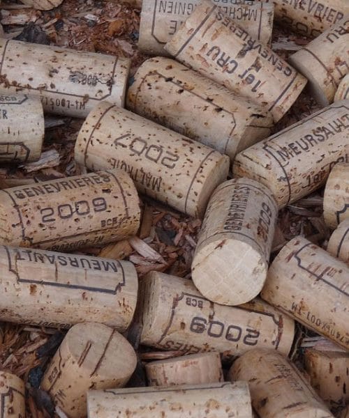 Zamašek je padel v steklenico vina? Tako ga enostavno rešite