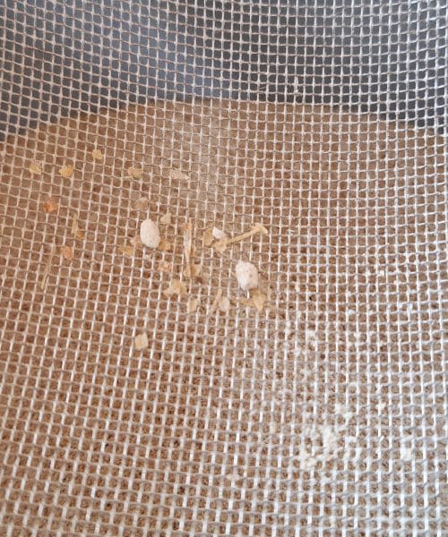 Presejanje moke je skrivnost boljšega kruha, ki jo mnogi spregledajo