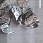 Se ptiči še vedno zaletavajo v okna?